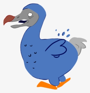 Dodo Bird - Duck