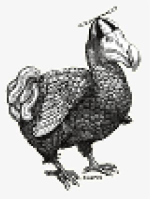 Cropped Dodo Small - 2018