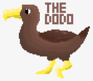 Dodo - Pixel Faces