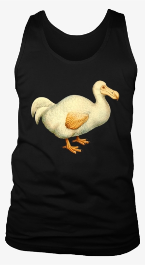 Dodo Bird Vintage Graphic T-shirt - Stevie Singer Nick T Shirt