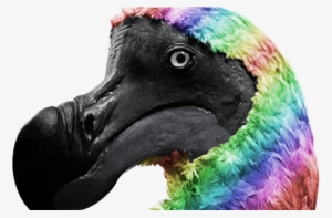 Support Gay Dodo Rights - Dodo Bird