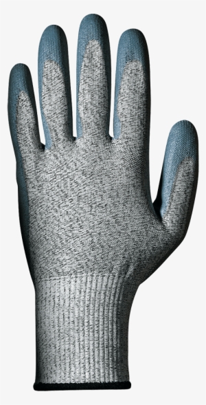 Glove