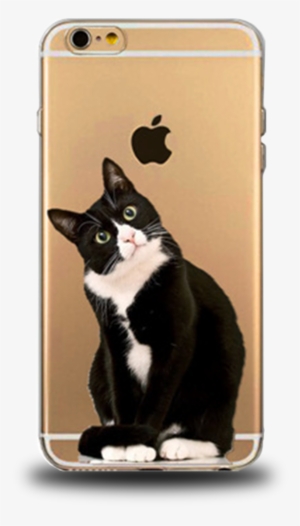 "you Looking At Me" Cat Phone Case - Clear Cat Phone Cases