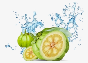 An Extract From The Fruit Rind, Hydroxycitric Acid - Garcinia Cambogia Fruit Png