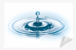 Cyprès (huile Essentielle Bio)