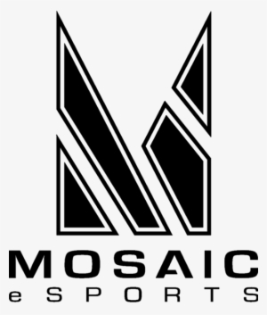 Stoop From Ex-fnatic Joins Team Mosaic As Their Head - Mosaic Esports