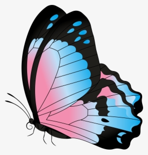 Butterfly Blue Pink Transparent Clip Art Image