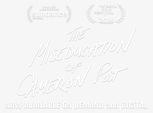 Tt - Miseducation Of Cameron Post Poster