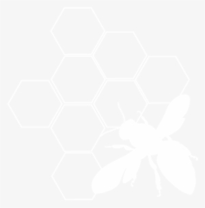 Honey Bees - Ibm Certificaciones