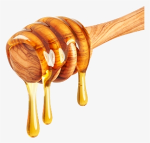 Honey Is A Sweet Liquid Made By Bees Using The Nectar - Honey With No Background