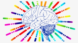 Structure Of Brain Throw Blanket