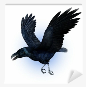 Raven In Flight