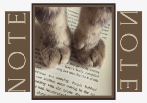 Note Oc - Cat Paws On Book