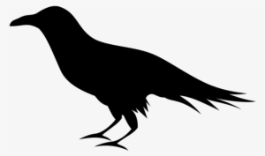 Pin Flying Raven Clipart - Clip Art Raven Png