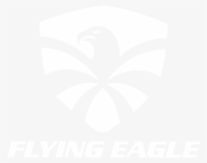 F4 Raven - Anything Automotive