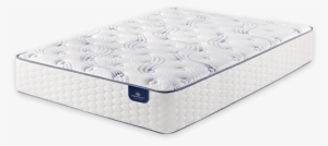 Serta Perfect Sleeper Select Plush 500 Innerspring
