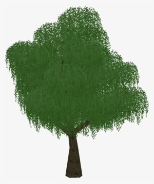 Weeping Willow - Grass