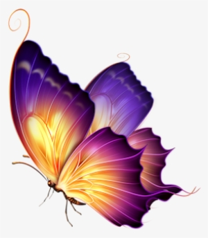 Butterfly - Colour Butterfly Png