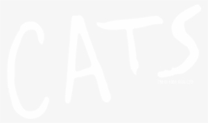 Cats Musical - Cats The Musical 2017