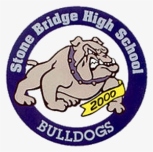 The Briar Woods Falcons Defeat The Stone Bridge Bulldogs - Stone Bridge High School