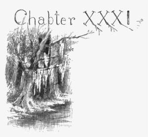 Adventures Of Huckleberry Finn 1885-p266 - Huck Finn In Tree