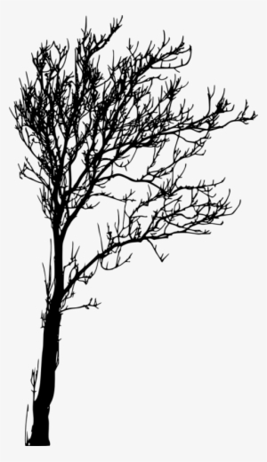 Free Png Bare Tree Silhouette Png Images Transparent - Tree Silhouette Png