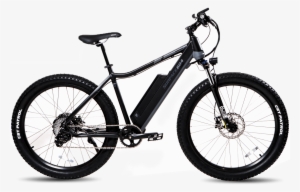 Usd - Surface 604 Shred