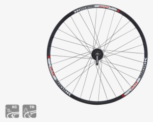 Rin Kore Xcd R29 Negro - Wheel