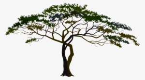 0, - African Forest Silhouette Png