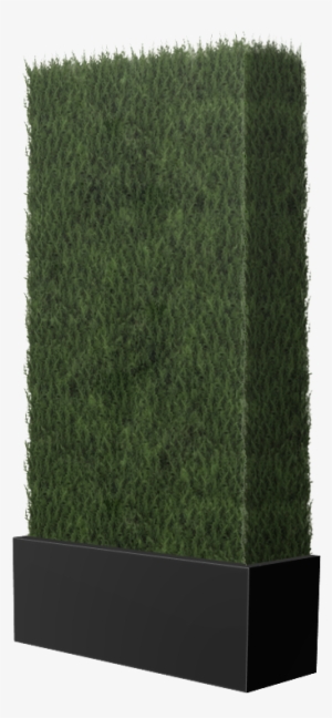 Heywood Cypress Wall