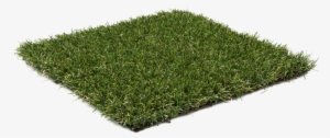 Cypress Point - Emerald - Kunstrasen Oryzon - Evergreen - Green 7000 Kunstrasen