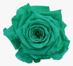 Prev - Green