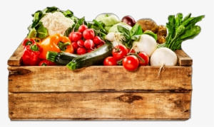 Plant-based Diet And Kidney Health