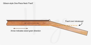 One Piece Guitar Necks Have A Fault Line Due To Grain - Rifle