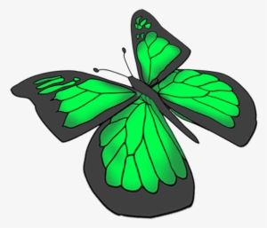 Purple Butterfly Drawing, Green Butterfly Drawing - Transparent Background Green Butterfly Clipart