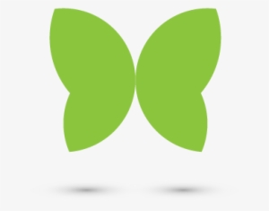 Butterfly - Identify A Butterfly