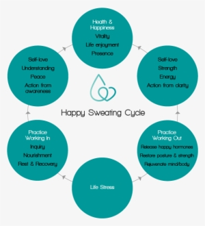 Happy Sweating Cycle - Bicycle