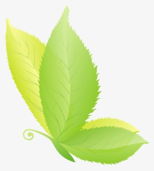 Products - Illustration