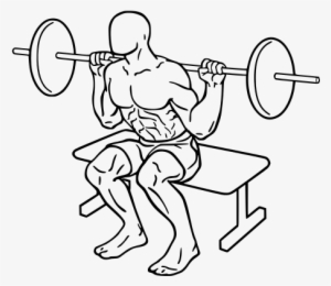 Box Squat - Squats Exercise