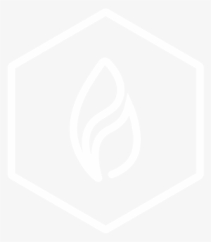 Ioladerm Logo - Neon Hexagon Png