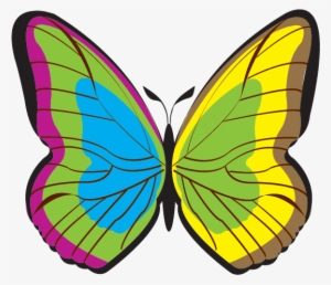 Butterfly - - Portable Network Graphics