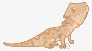 Bearded Dragon - Bearded Dragon Cartoon Png