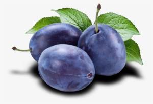 Plum - Prune Fruits