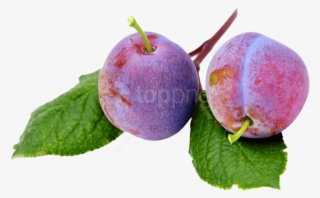 Download Plums Png Image - Portable Network Graphics