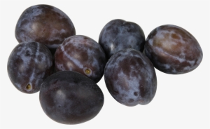 Damson Png
