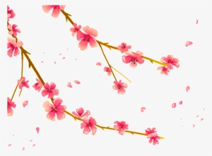 Hand Painted Plum Png - Background Spring Warm Png