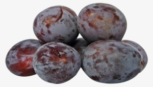 Free Png Plum Png Images Transparent - Plum