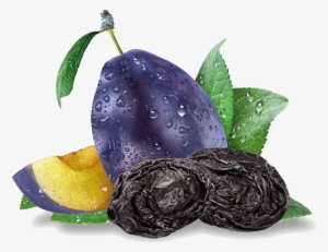 Since Ancient Times People Knew About The Nutritional - Suve Sljive Png