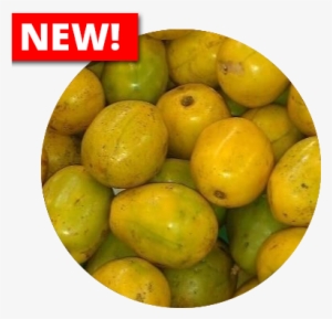 June Plum - West Indian Plum