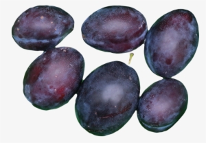 Plums - Different Species Of Plums